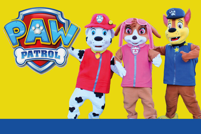 paw patrol